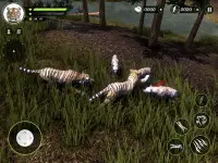 Wild Tiger Hunting Animal Life Screen Shot 5