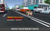 Corrida de gato corida ocupada Screen Shot 2