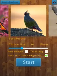 Birds Jigsaw Puzzles Game Screen Shot 6
