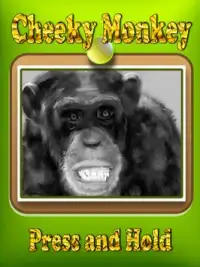 Talking Monkey - Cheeky Monkey Screen Shot 1