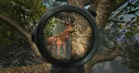 Deer Hunting 2020 - Tiro de atirador de animais Screen Shot 1