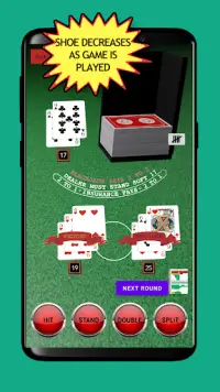 Blackjack Card Counting Screen Shot 3