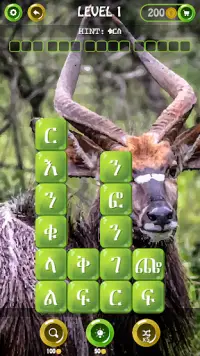 ቃላት ጨዋታ - Word Crash Screen Shot 8