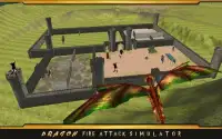 Dragon Fire Attack Simulator Screen Shot 0