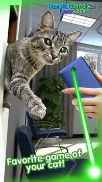 Fernbedienung Cat Laser Joke Screen Shot 1