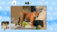 Kucing Jigsaw Puzzle untuk Ana Screen Shot 3