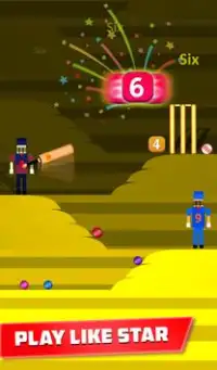 Mr. Bat: The Cricket Game Screen Shot 1