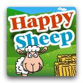 Happy Sheep