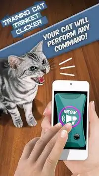 प्रशिक्षण बिल्ली त्रिंकेत Clicker Screen Shot 2