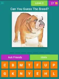 Guess The Dog Breeds Most Popular Dog Breeds Quiz Screen Shot 15