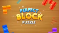 Perfect Block Puzzle Screen Shot 0