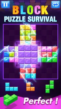 Block Puzzle Survival - Free Wood Puzzle Games Fun Screen Shot 2