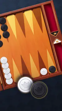 Backgammon Classic Screen Shot 1