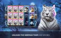 Slots Super Tiger Casino Slots Screen Shot 5