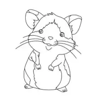 Drawing a Hamster Screen Shot 3