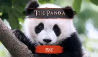 The Panda Screen Shot 12