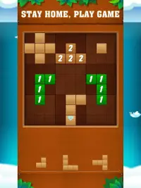 Block Wodu -  Puzzle Game Screen Shot 6