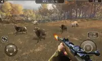 Real Animal Hunter Sim 2018 Screen Shot 0