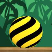 Tiger Hoop 3D Ball :TingerBall