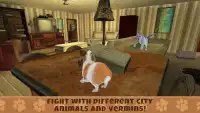 Guinea Pig Simulator: House Pet Survival Screen Shot 1