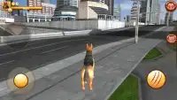 Big City Dog Simulator Screen Shot 3