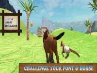 Pony Horse Simulator Kids 3D Screen Shot 12