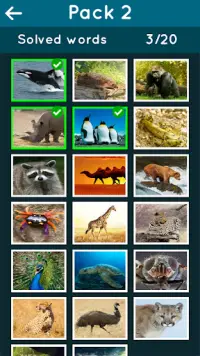 Animal Kingdom Guessing Game Screen Shot 3