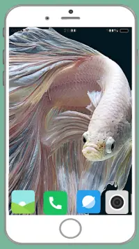 Fish Full HD Wallpaper Screen Shot 3
