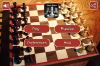 Chess Queen Screen Shot 0