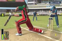 Cricket WorldCup Fever Screen Shot 0