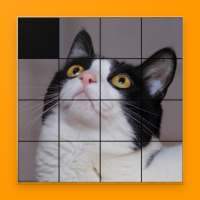 Schiebepuzzle Katzen