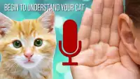 Cat to Human Translator Prank Screen Shot 0