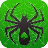 Spider solitaire Plus