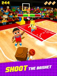 Blocky Basketball FreeStyle Screen Shot 11
