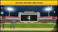 Cricket World Cup 2015 Free Screen Shot 1