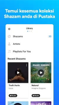 Shazam: Cari lagu Screen Shot 4