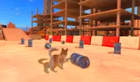 Akita Dog Simulator Screen Shot 10