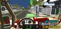 Multiplayer Minibus Driver Sim Screen Shot 6