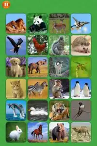 Animal Match Memory training Screen Shot 4