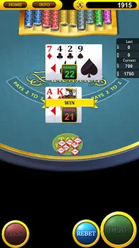 Casino Blackjack Screen Shot 1