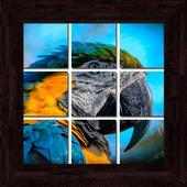 Birds Puzzles - 101 pictures