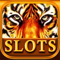 Casino Mostro: slot Haunted