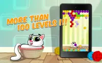 説明猫 - Bubble Shooter Cat Screen Shot 0