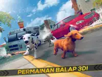 Anjing Simulator 2017 Game 3D Screen Shot 4