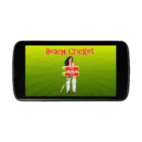 Beach Cricket Screen Shot 0