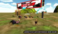 Farm Rooster Run- Angry Chicken Race Hero Screen Shot 1