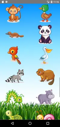 Learn Animals  Name, Sounds, Pictures Screen Shot 5