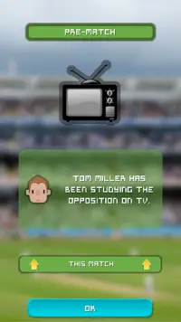 Nations Cup Cricket 2019 Screen Shot 1