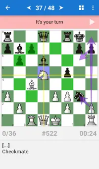 Chess Tactics Art (1400-1600) Screen Shot 1
