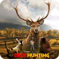 Deerhunt - Deer Sniper Hunting